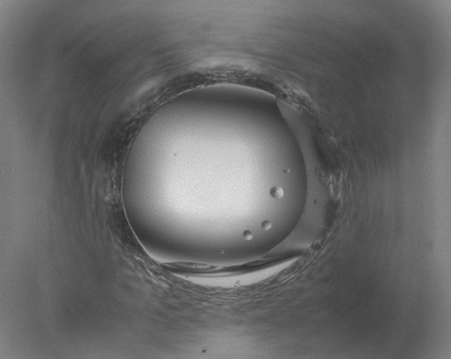 X0000077990965200611101724