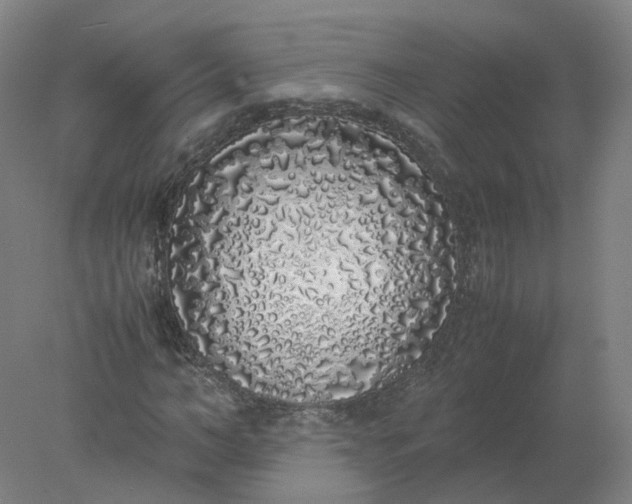 X0000077990966200611101724