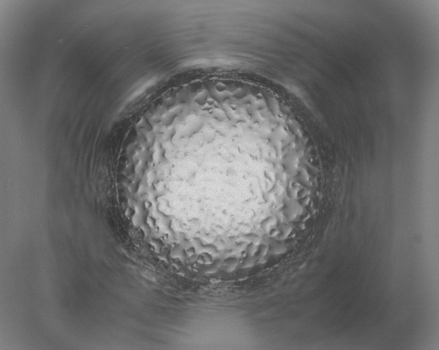 X0000077990967200611101724