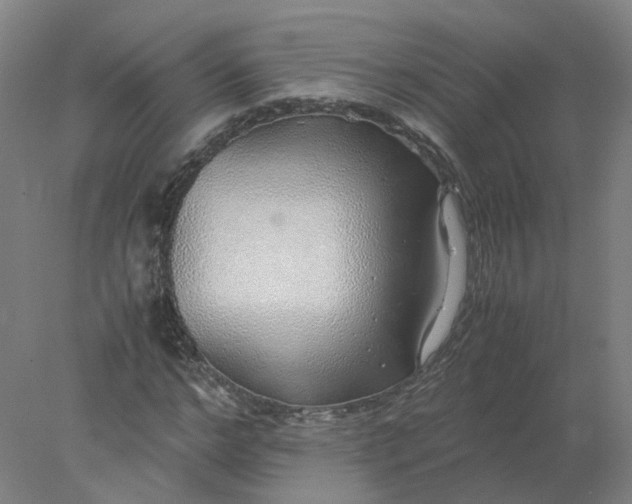 X0000077990968200611101724