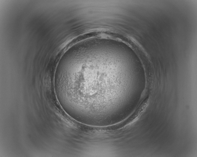 X0000077990969200611101724