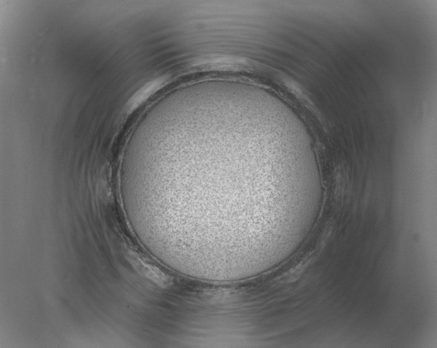 X0000077990970200611101724