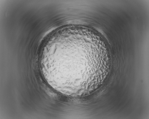 X0000077990971200611101724