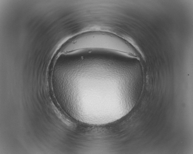 X0000077990972200611101724