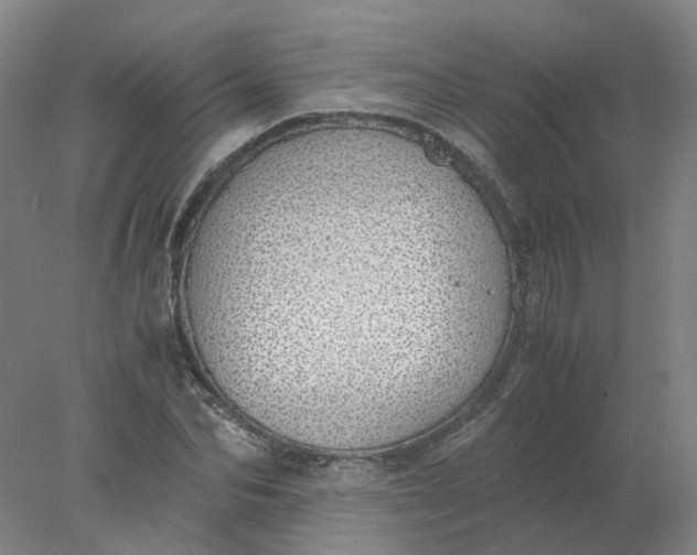 X0000077990974200611101724