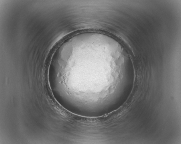 X0000077990975200611101724