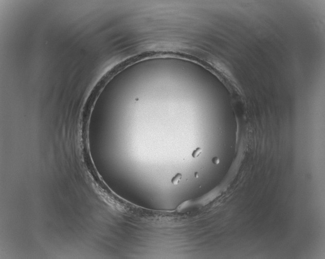 X0000077990976200611101724