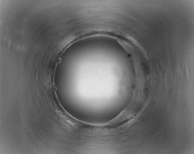 X0000077990977200611101724