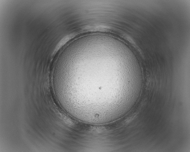 X0000077990978200611101724