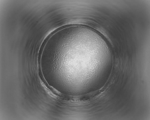 X0000077990980200611101724