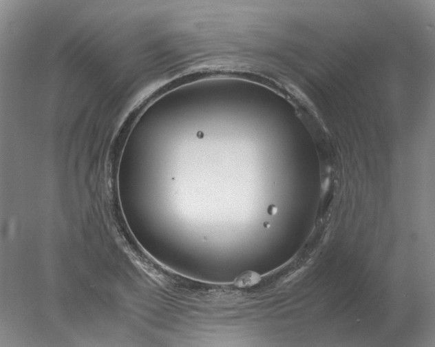 X0000077990981200611101724