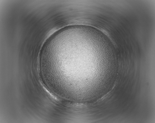 X0000077990982200611101724