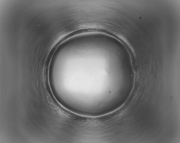 X0000077990983200611101724