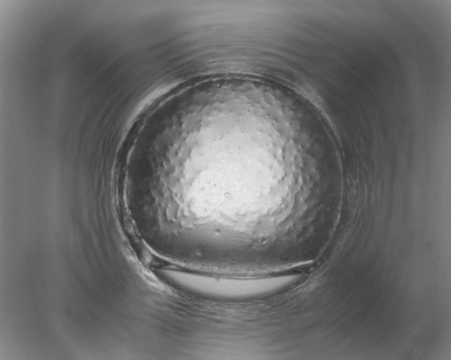 X0000077990987200611101724