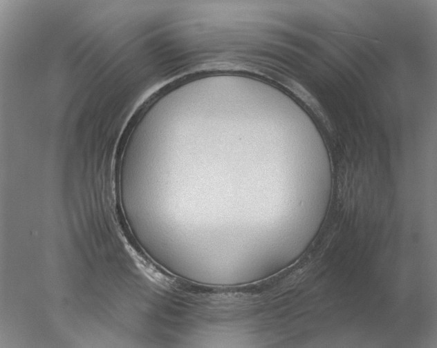 X0000077990988200611101723