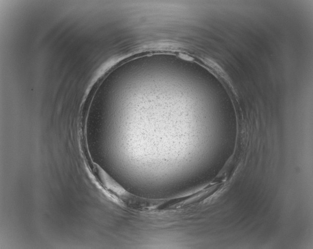 X0000077990989200611101723