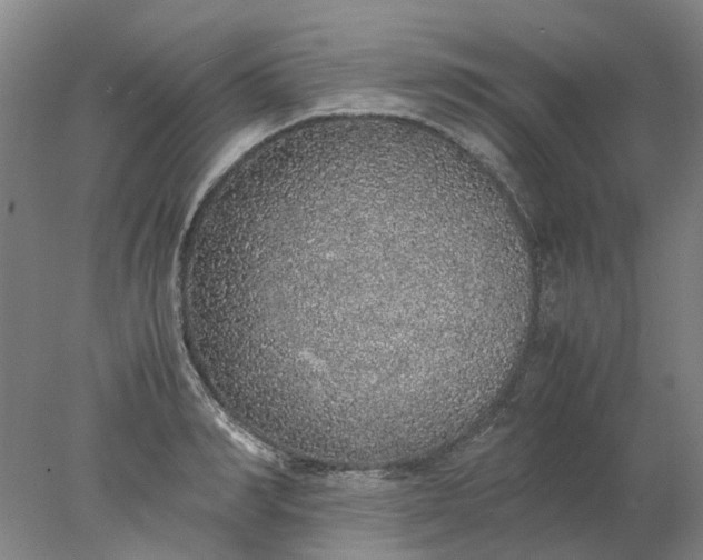 X0000077990990200611101723