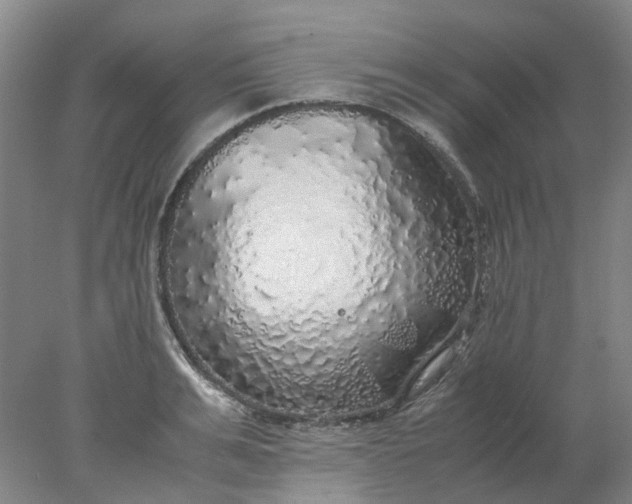 X0000077990991200611101723