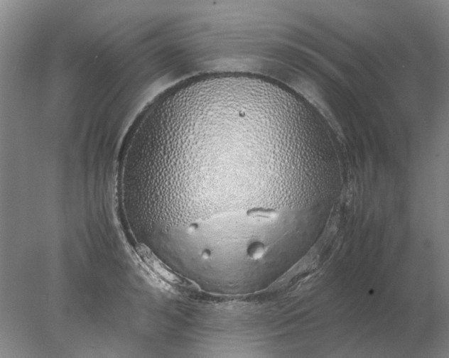 X0000077990992200611101723