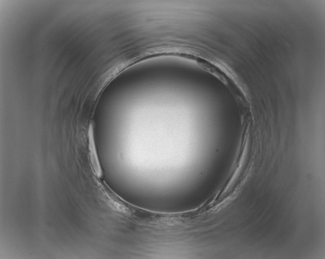 X0000077990993200611101723