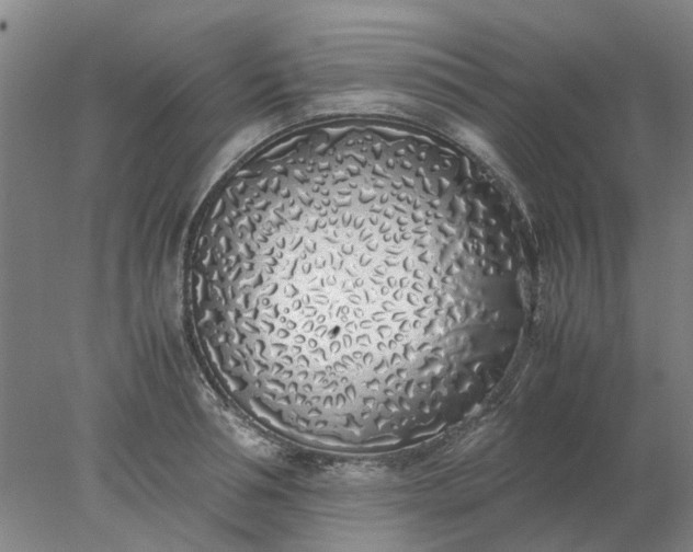 X0000077990994200611101723