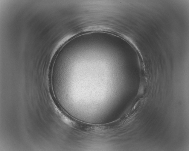 X0000077990995200611101723