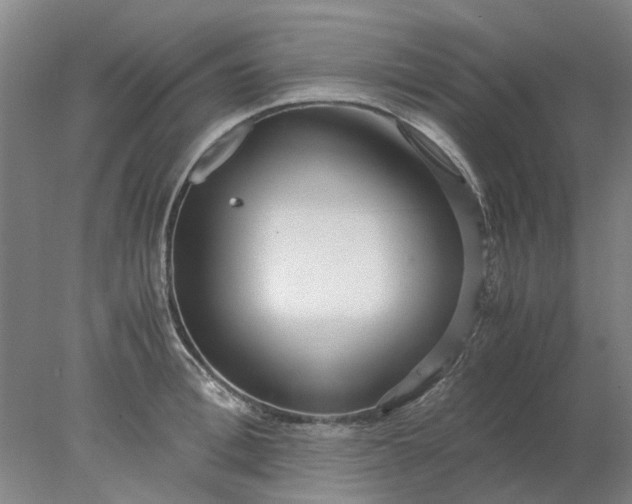 X0000077990996200611101723