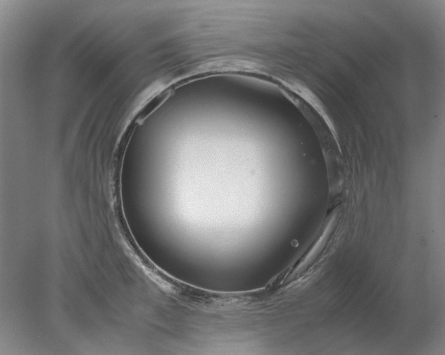 X0000077990997200611101723