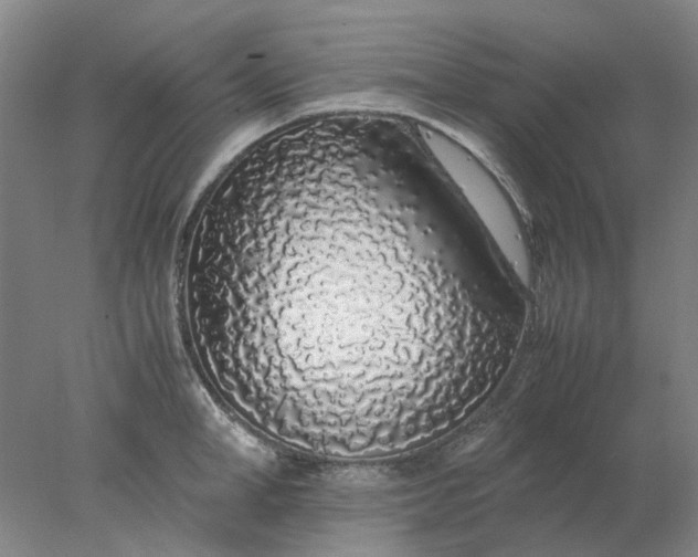 X0000077990998200611101723