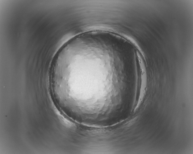 X0000077990999200611101723