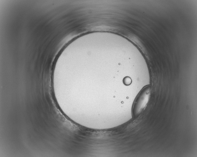 X0000077991000200611101723