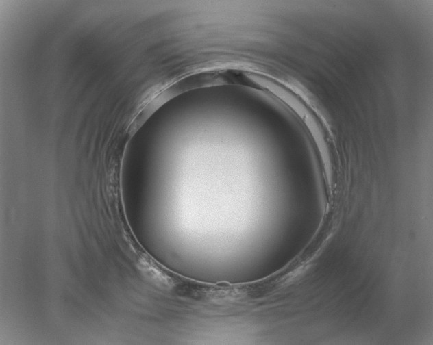 X0000077991001200611101723