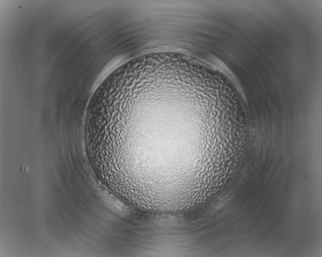 X0000077991002200611101723