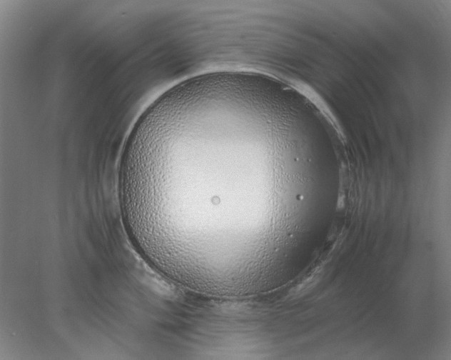 X0000077991004200611101723