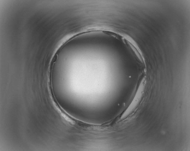 X0000077991005200611101723