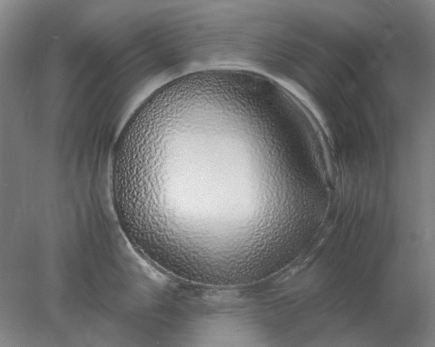 X0000077991006200611101723