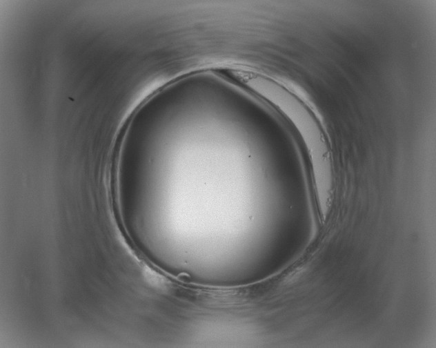 X0000077991007200611101723