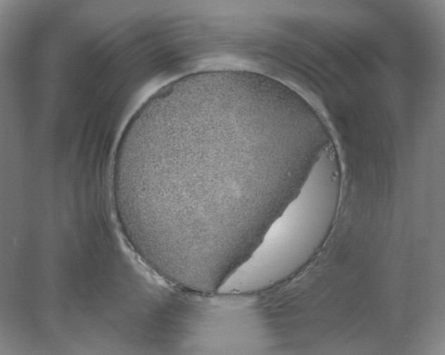 X0000077991008200611101723