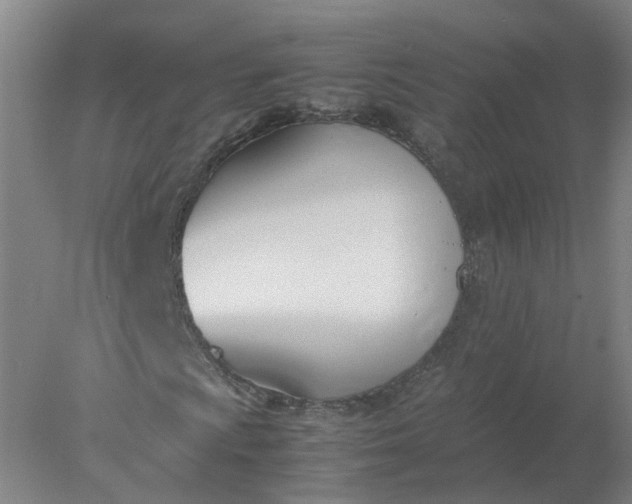 X0000077991009200611101722