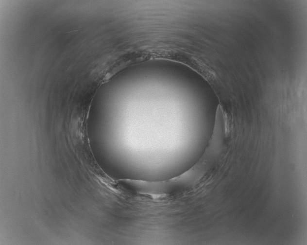 X0000077991010200611101722