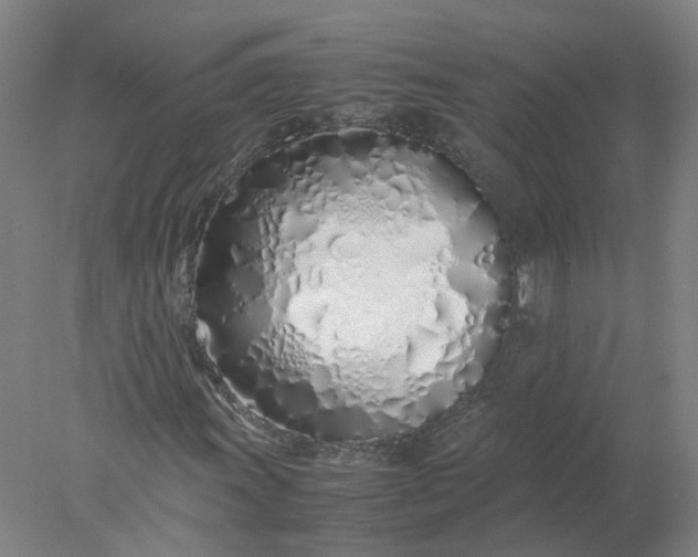 X0000077991011200611101722