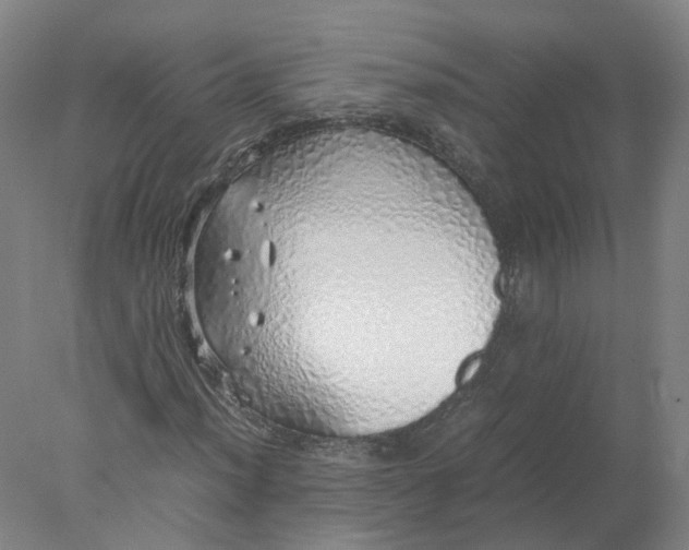 X0000077991012200611101722