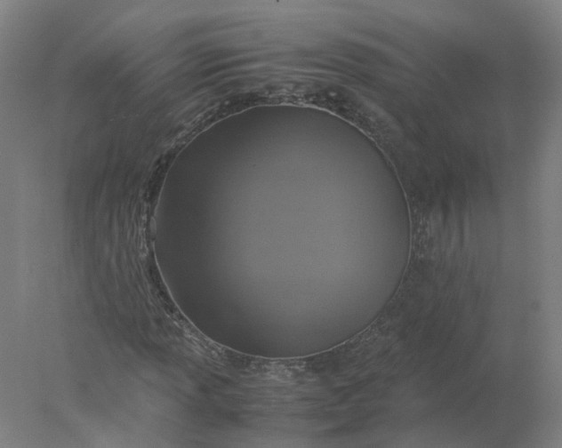 X0000077991013200611101722