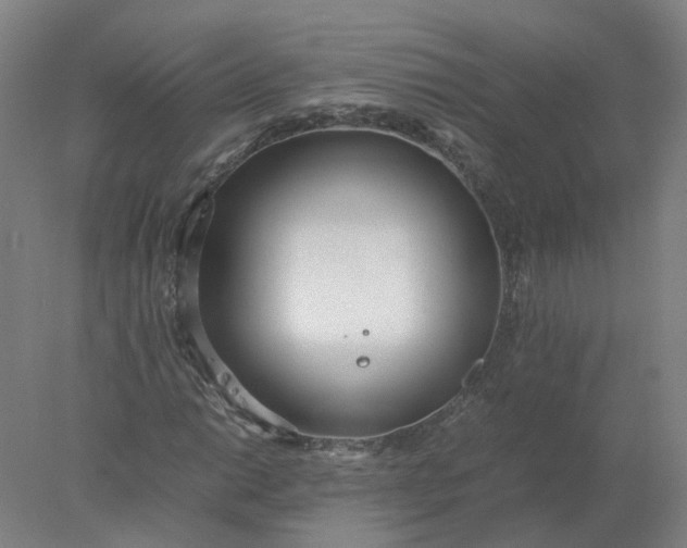 X0000077991014200611101722