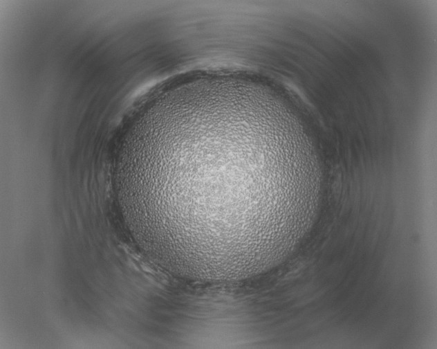 X0000077991016200611101722