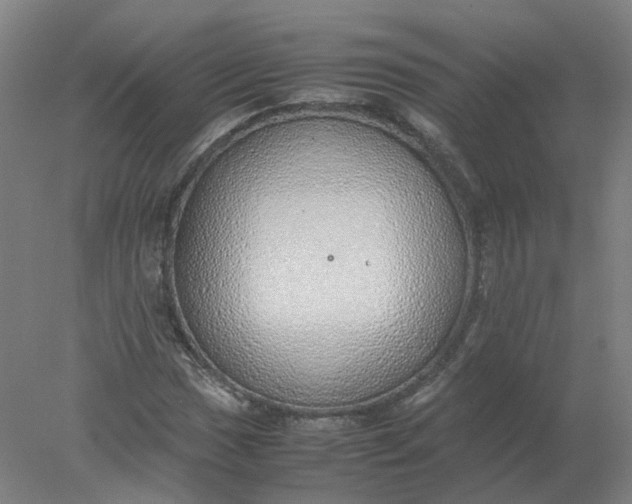 X0000077991017200611101722