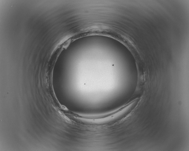 X0000077991018200611101722