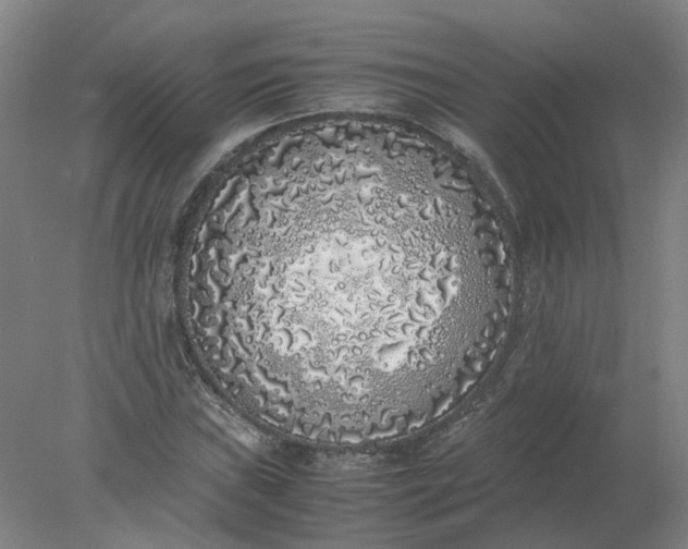 X0000077991019200611101722