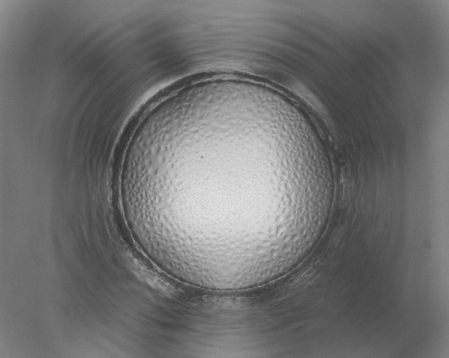 X0000077991020200611101723