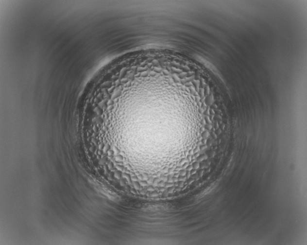 X0000077991021200611101723